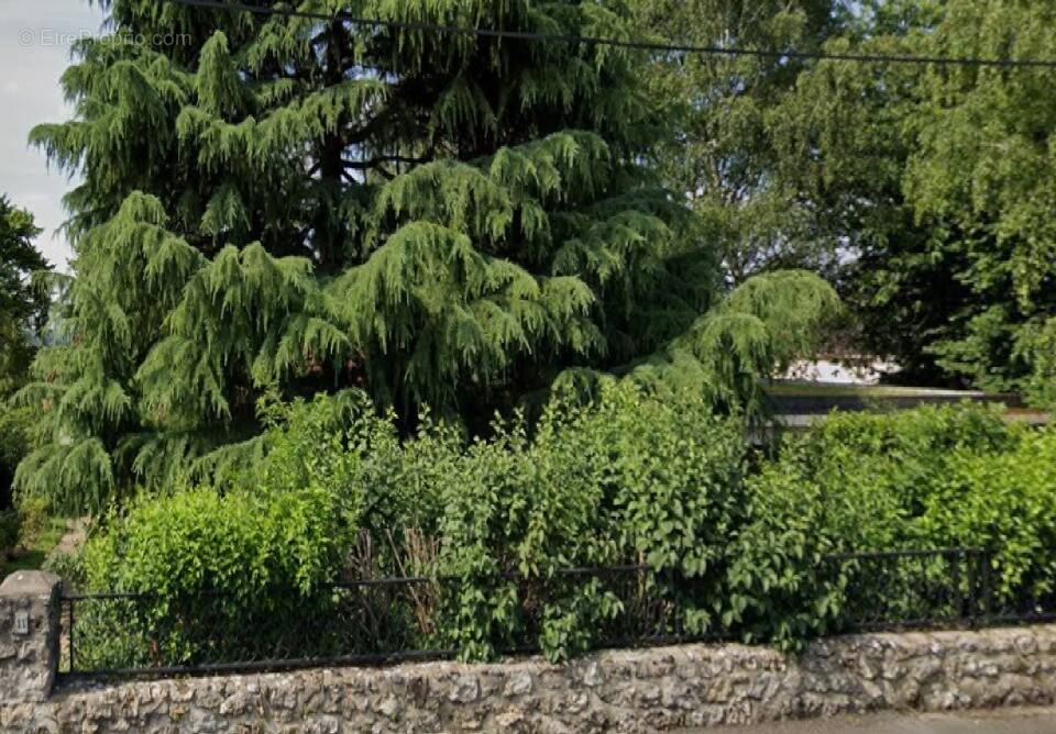 Terrain à VILLEMOISSON-SUR-ORGE