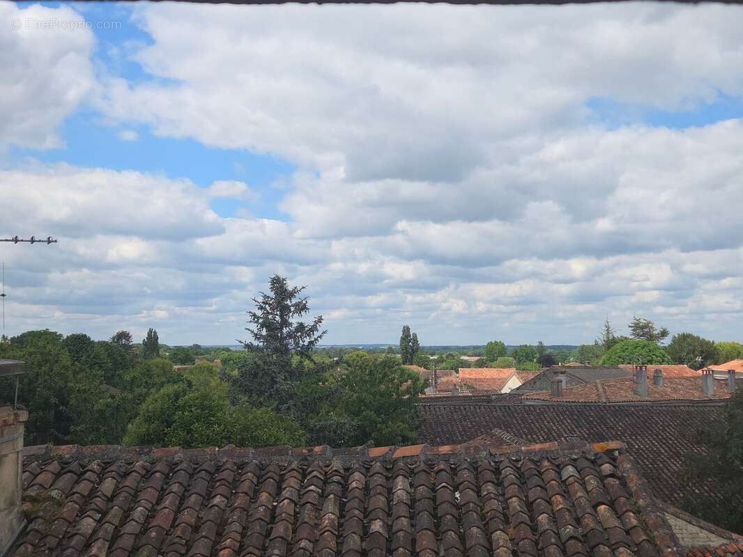 Appartement 260 m² à Segonzac  - photo 7