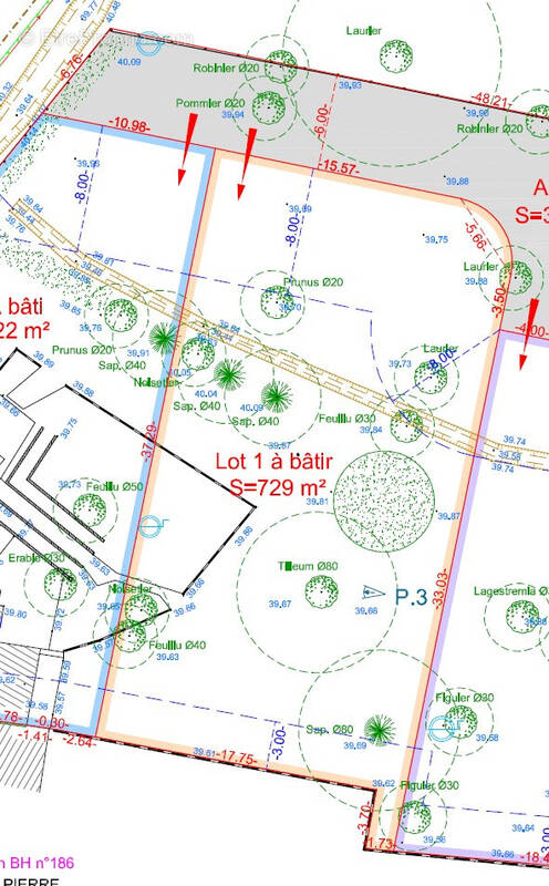 Terrain à BELIN-BELIET