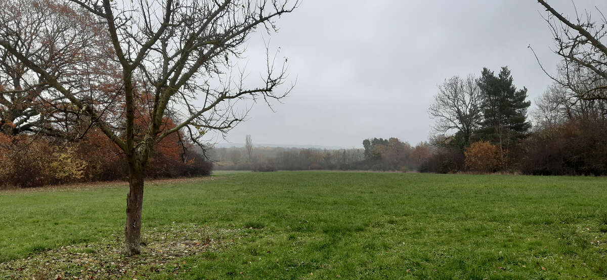 Terrain à NANCY