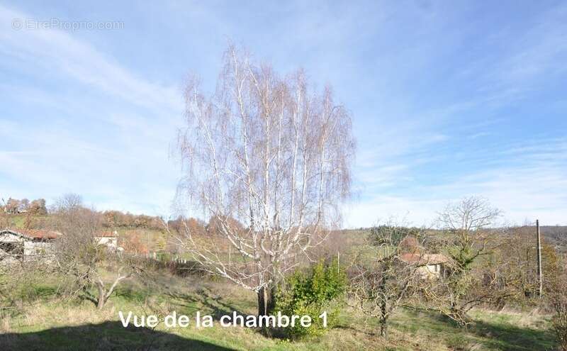 Maison à MOISSIEU-SUR-DOLON