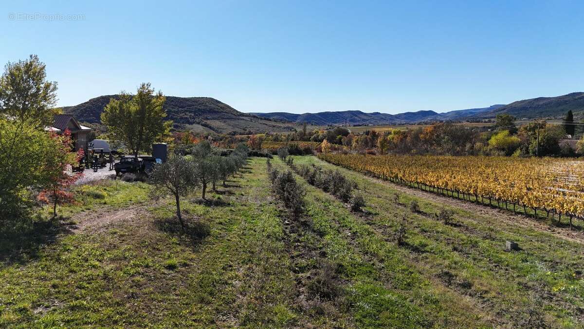 Appartement à ALBA-LA-ROMAINE