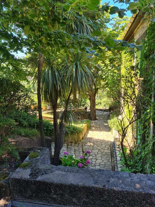 Maison 232 m²Lamalou-les-Bains Hérault France Piscine 232sqm 10x5pool 5 bedrooms garden trees - Maison à LAMALOU-LES-BAINS