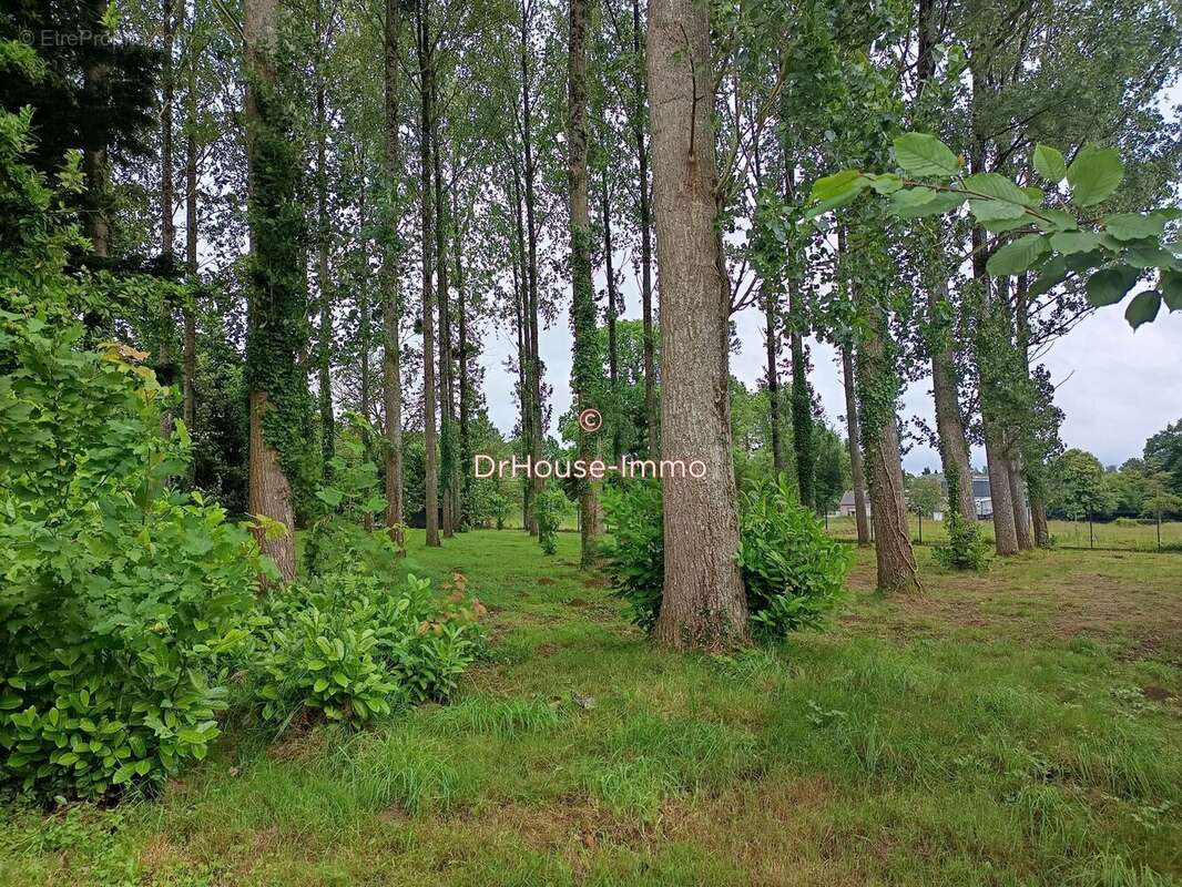 Maison à LOUVIGNE-DU-DESERT