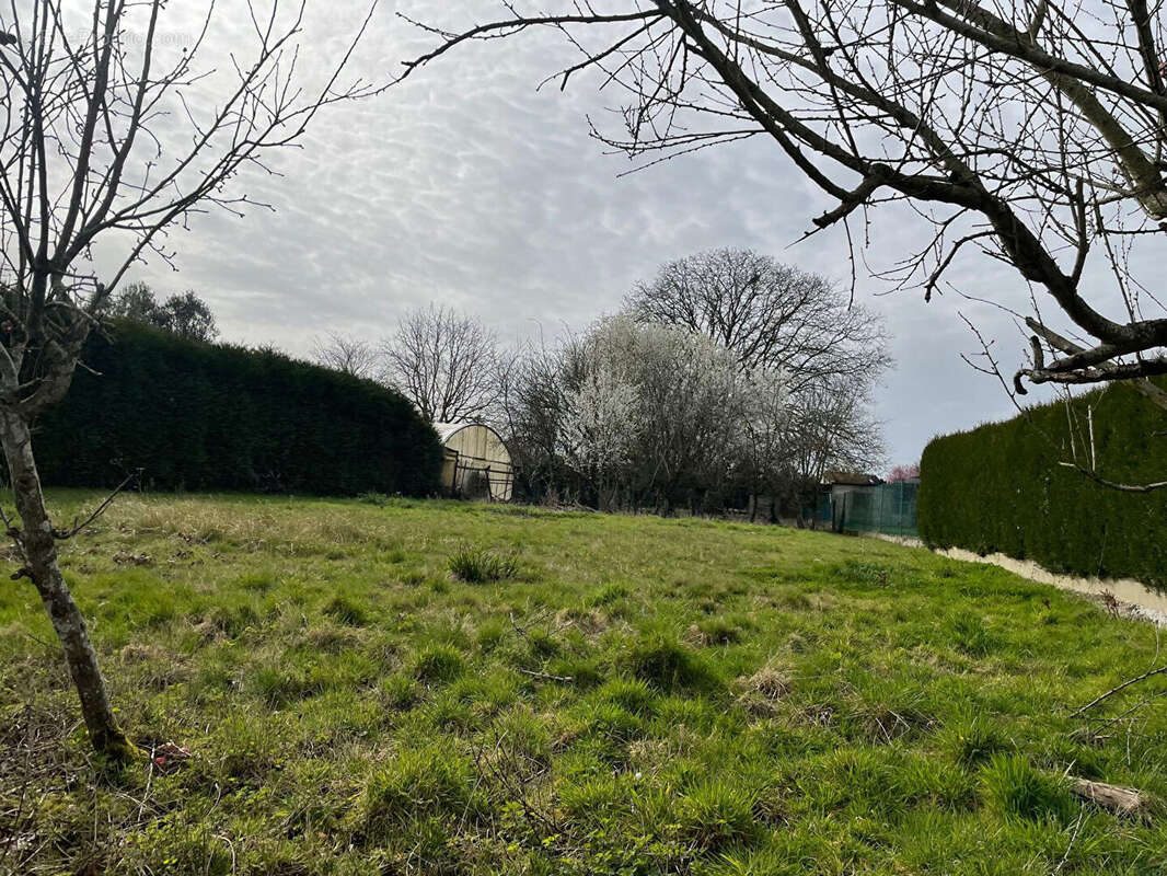 Terrain à CROUY-SUR-OURCQ