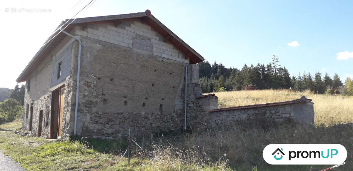 Terrain à AMBERT