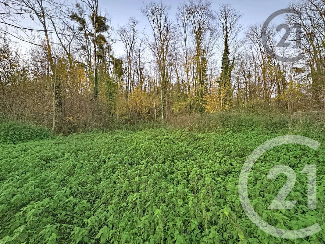 Terrain à CHALAUTRE-LA-PETITE