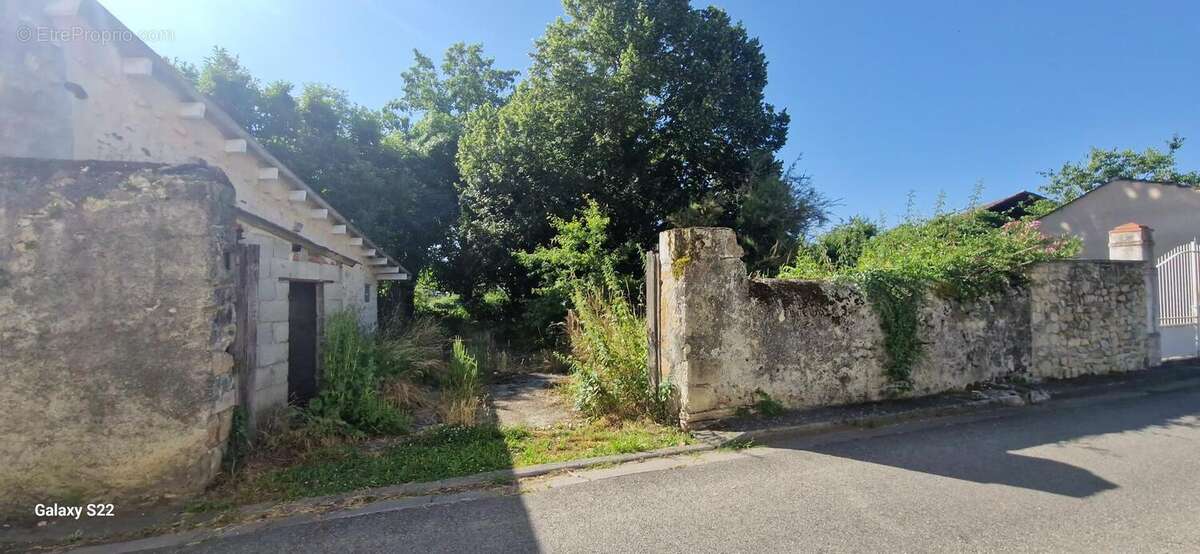 20250617095515 - Terrain à SAINT-MARTORY