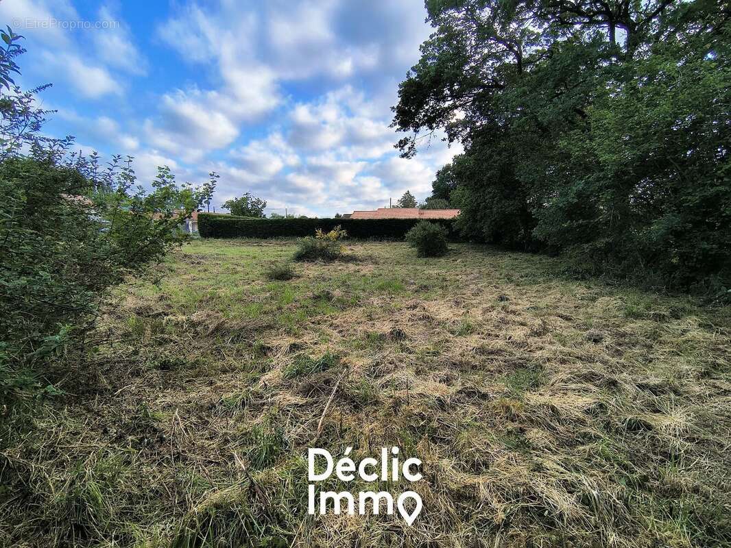 Délicieux bout de terre dans un leu dit charmant et calme - photo 6