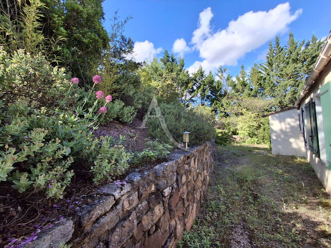 Maison à LE BOUSQUET-D'ORB