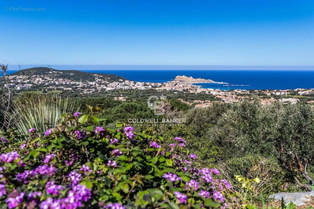 Maison à MONTICELLO