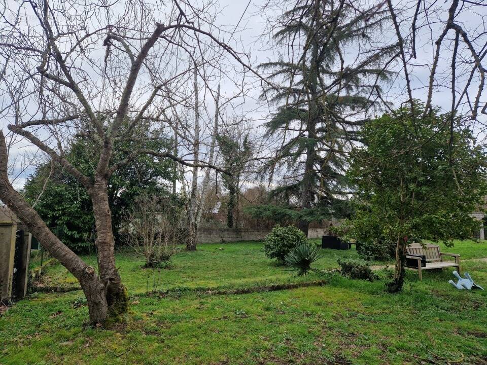 Terrain à SAINT-SULPICE-ET-CAMEYRAC