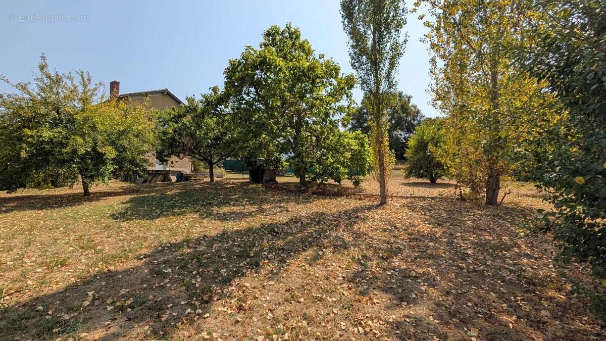 Photo 4 - Maison à FUMEL