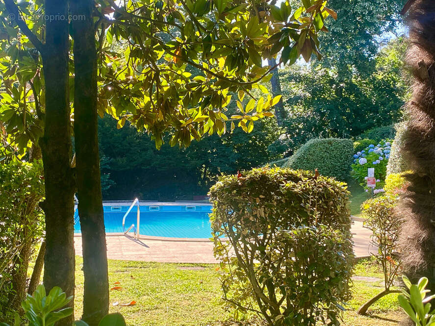 Appartement à CIBOURE