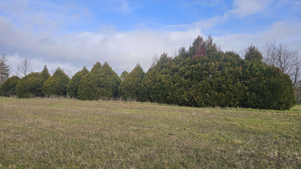 Terrain à VERTEILLAC