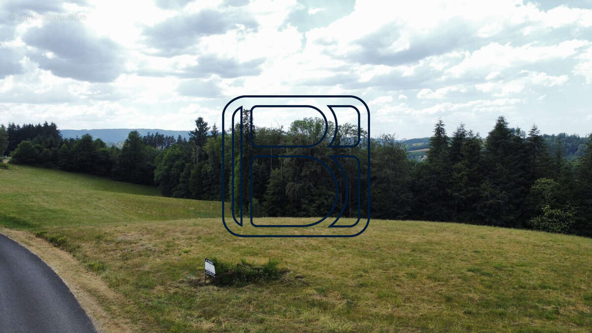 Terrain à VERTOLAYE