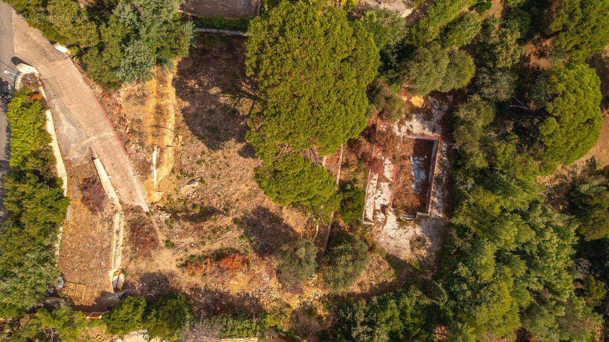 Terrain à ROQUEBRUNE-SUR-ARGENS
