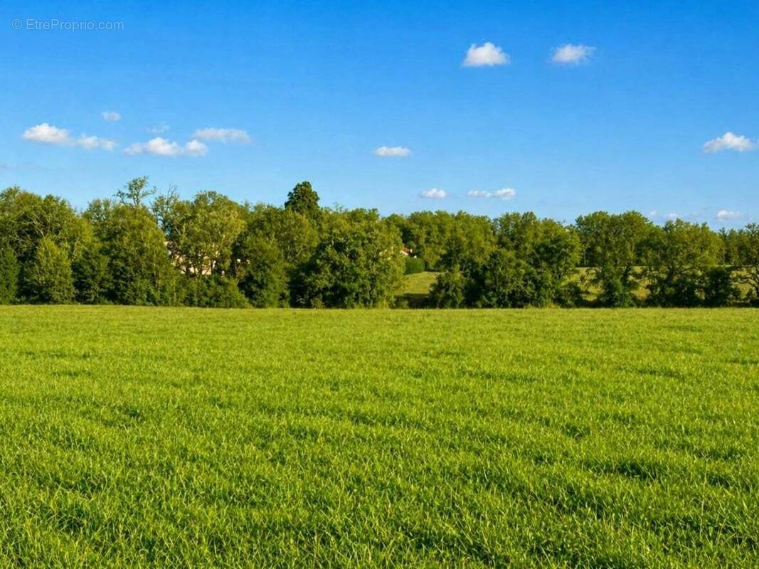 Terrain à SAINT-MEARD-DE-DRONE