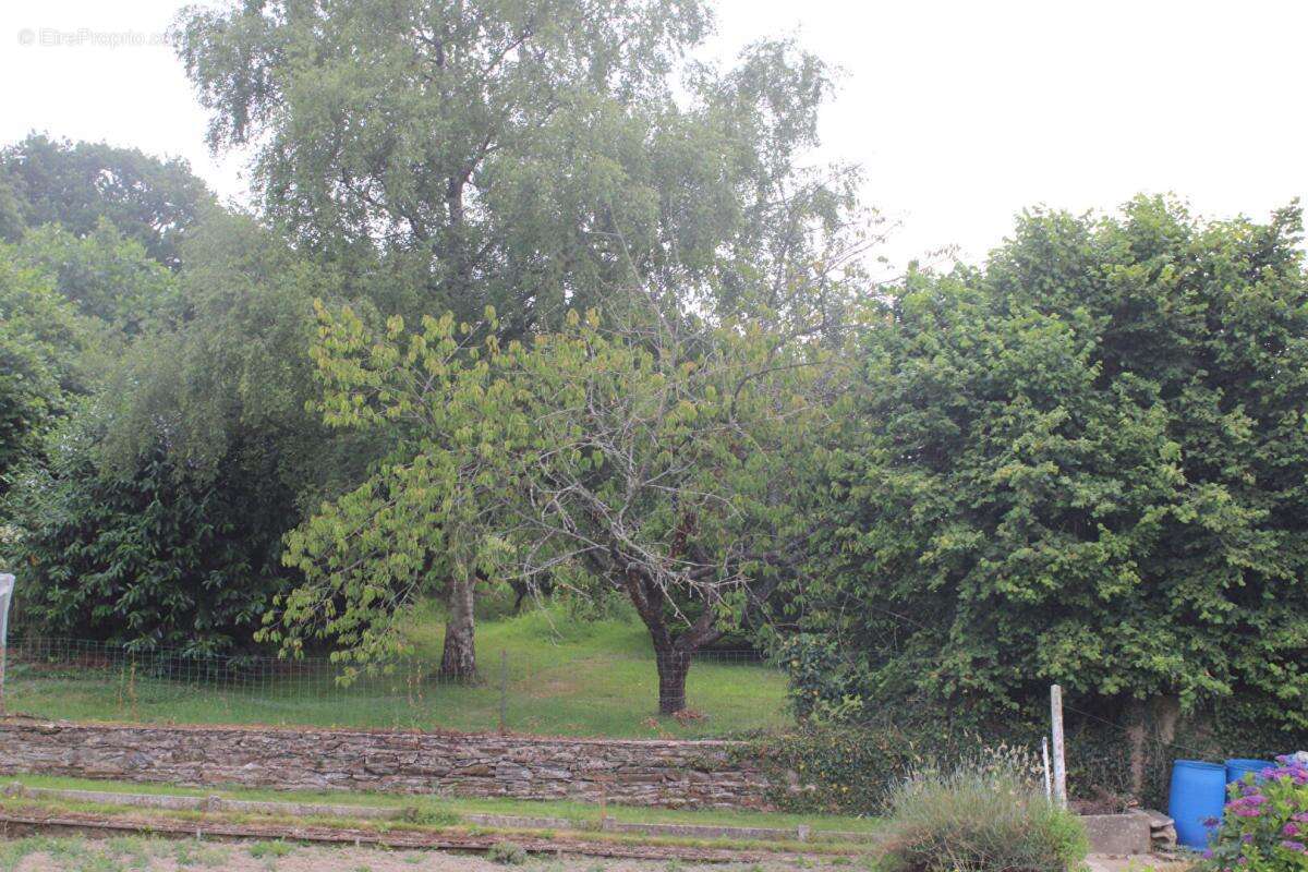 Maison  6 pièce(s) 124 m2 + TERRAIN  de 800m² constructible - photo 6