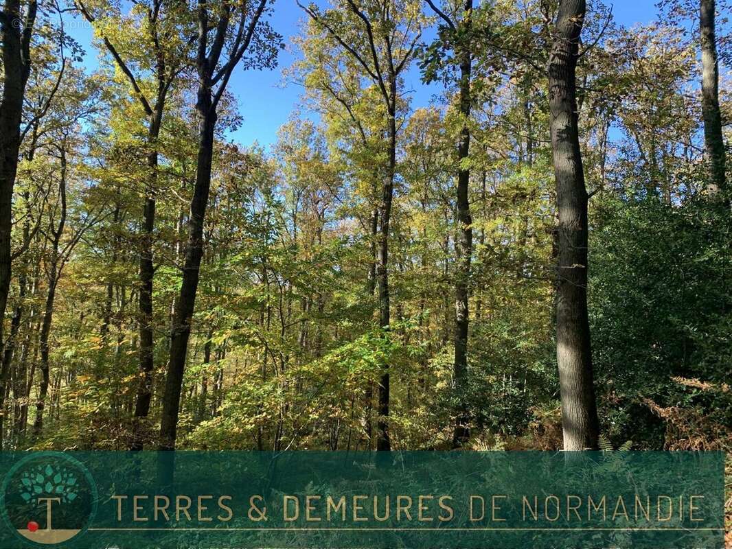 Terrain à BEUZEVILLE