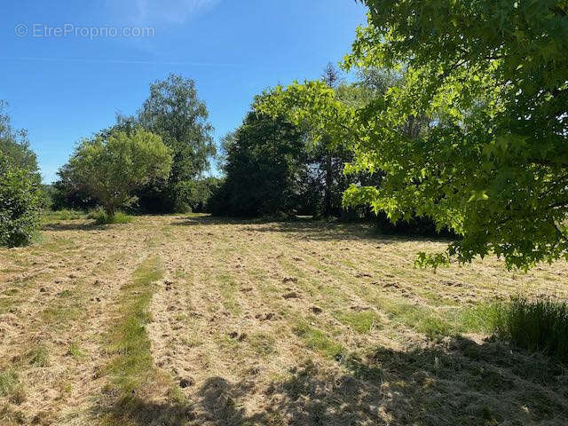 Terrain à BOURG-LE-COMTE