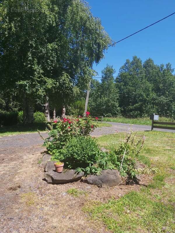 Maison avec jardin - photo 19