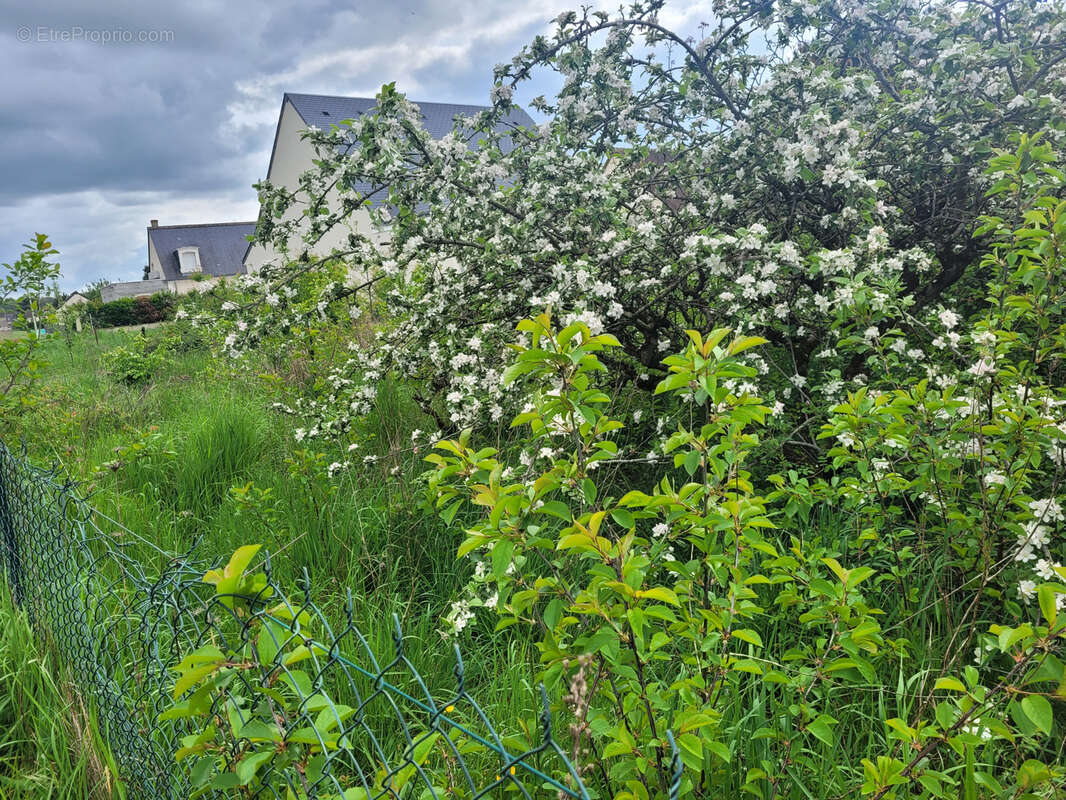 Berthenay bourg - photo 7