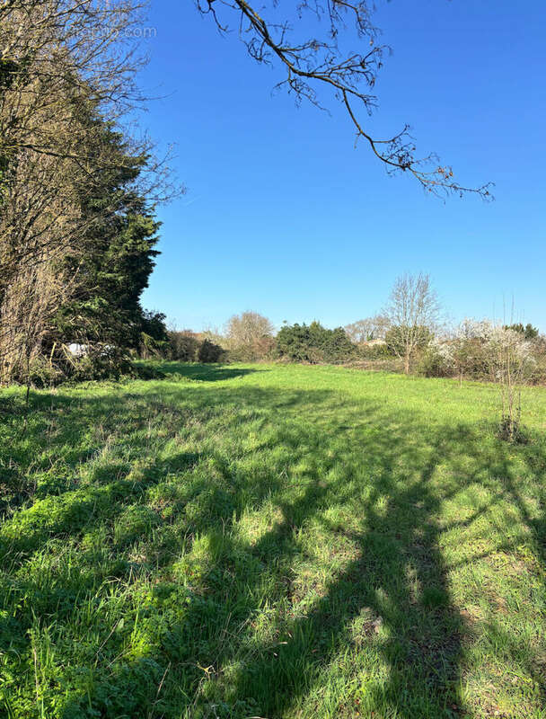 Terrain à LA GRIPPERIE-SAINT-SYMPHORIEN
