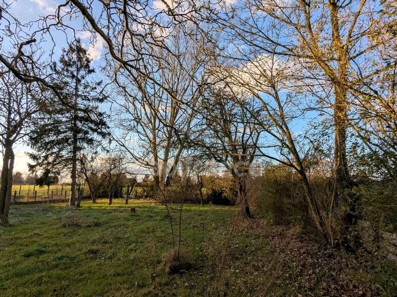 Terrain à NEUVILLE-EN-FERRAIN