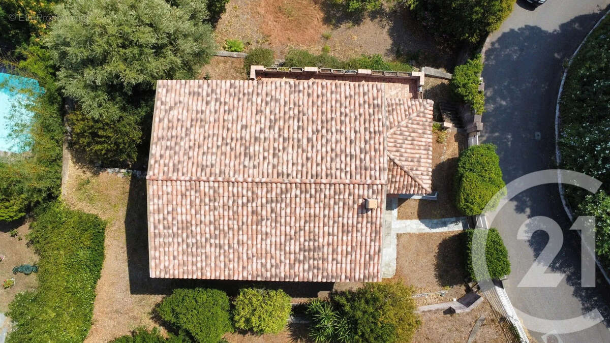 Maison 175 m² à San-Martino-Di-Lota  - photo 3