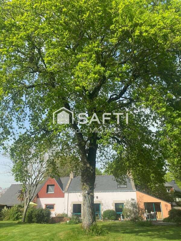 Photo 2 - Maison à AMBON