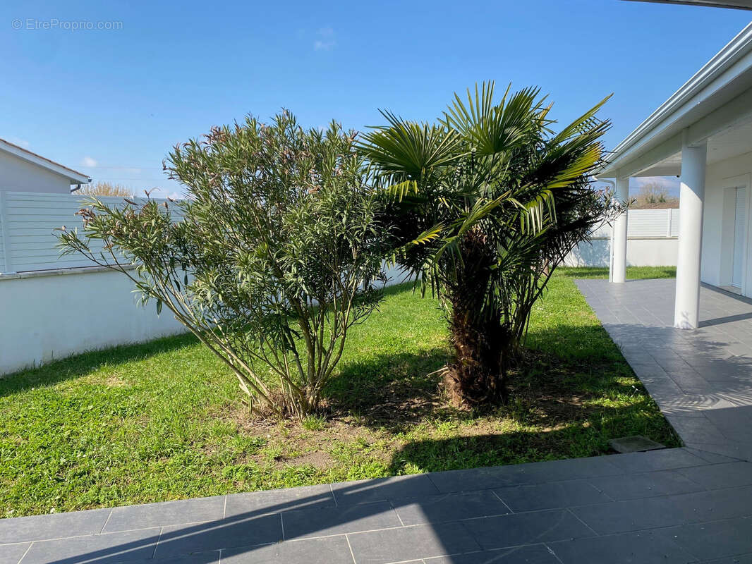 Maison à AMBARES-ET-LAGRAVE