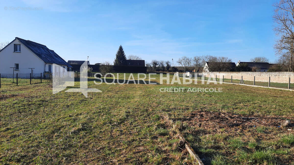 Terrain à TAVANT