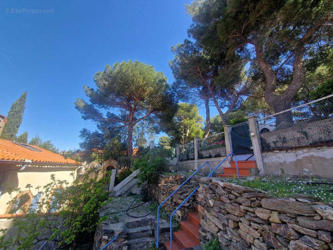 Appartement à COLLIOURE