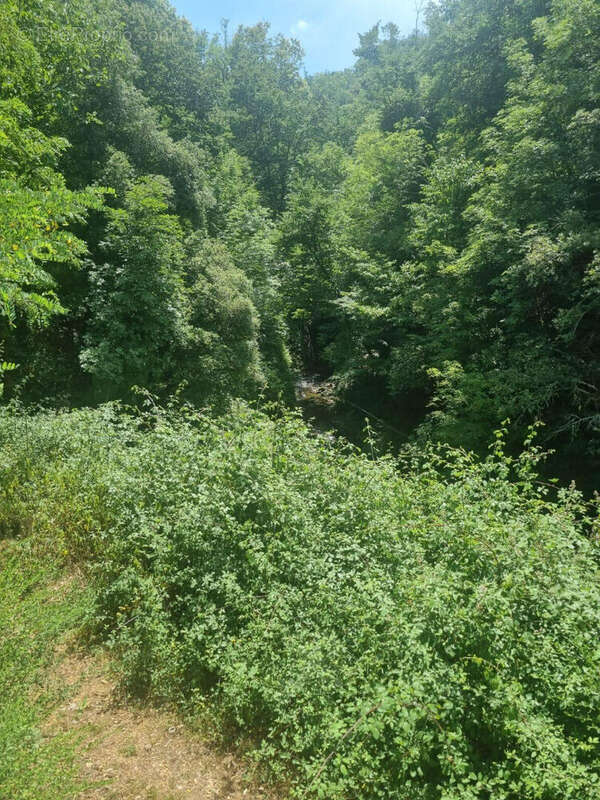 Rapaggio Murs et parcelle de terre - photo 15