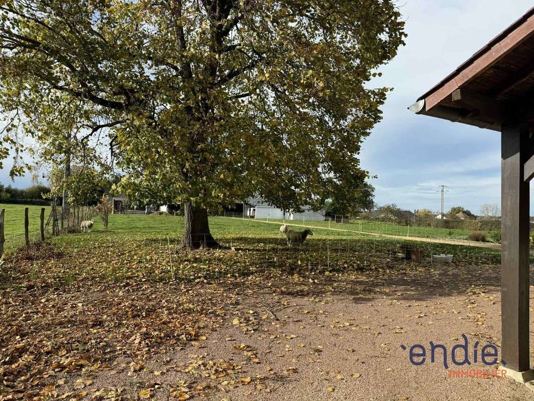 Maison à SALIGNY-SUR-ROUDON