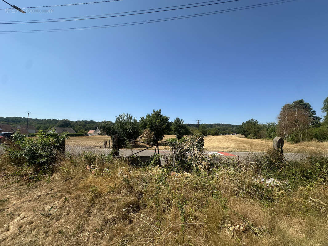 Vente terrain plat constructible de 2154 m2, non viabilisé, MELISEY - photo 4