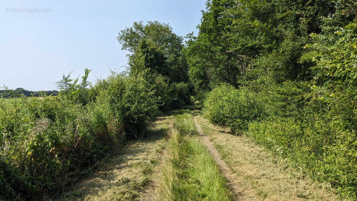 Terrain à USSON-DU-POITOU