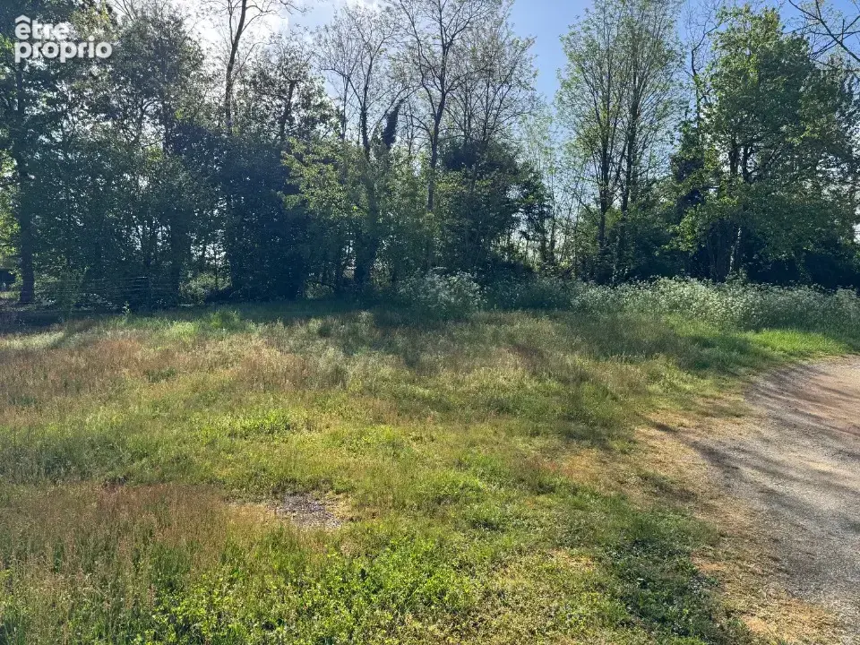 Photo Terrain à Lesparre-Medoc au prix de 49 000€