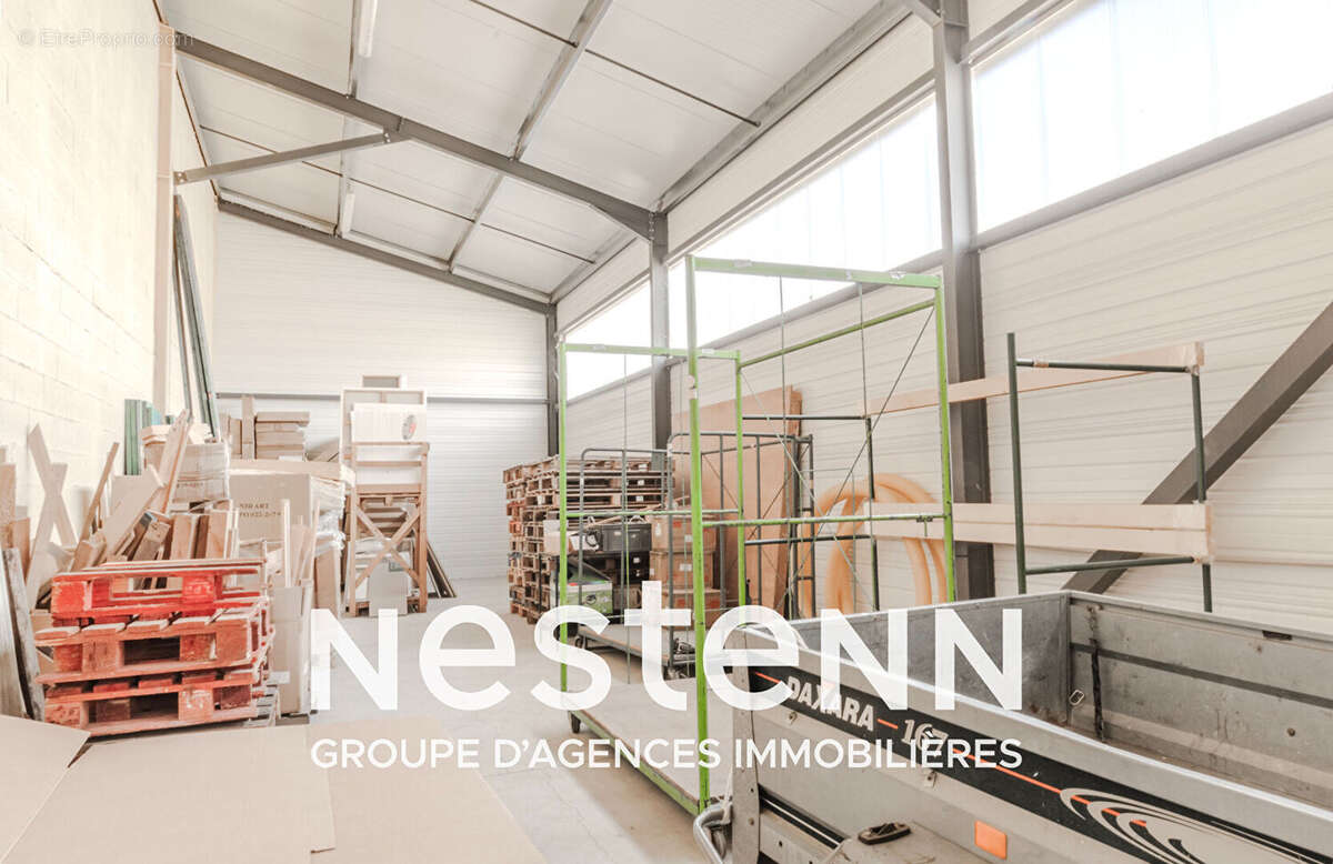 Commerce à PAMPELONNE