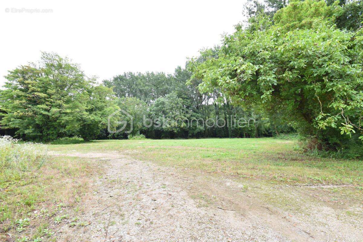 Commerce à GALLARDON