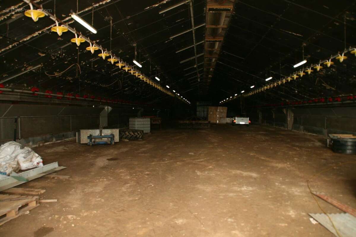 Vente Bureau-local Josselin(56120) 44 000ï¿œ - photo 4