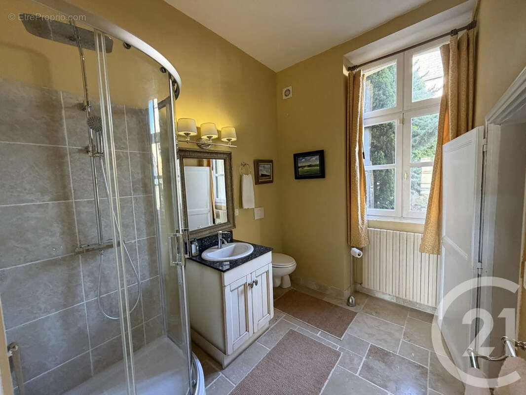 Maison 258 m² à Chateaudun  - photo 7
