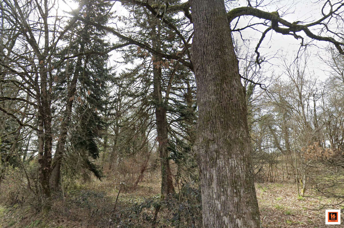 Terrain à PESCHADOIRES