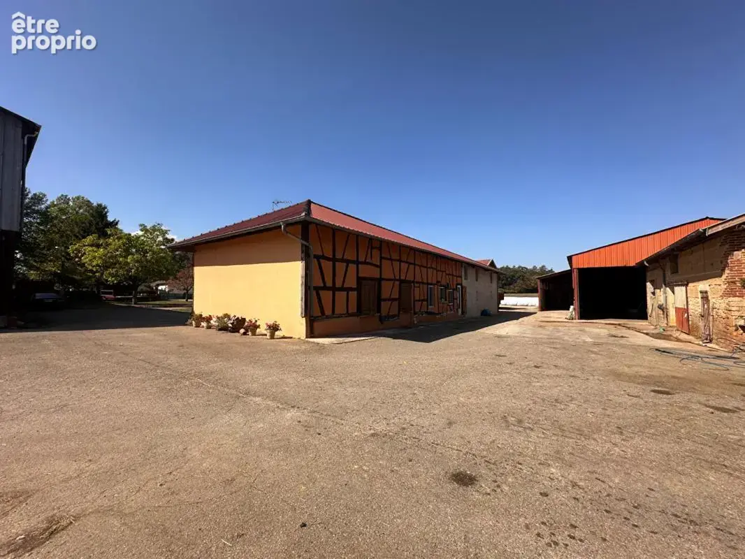 **exclusivite** saint jean sur reyssouze - ferme de caractère - 8 bâtiments -  210 000 m² de terrain - maison de 148 m² - photo 7