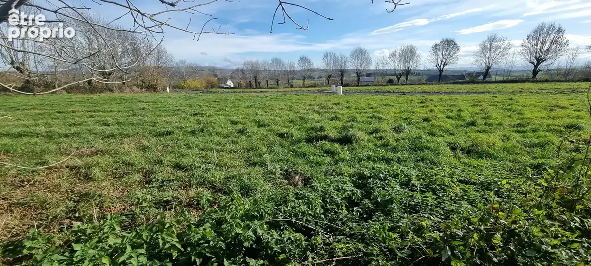 Nouveauté ! - photo 2