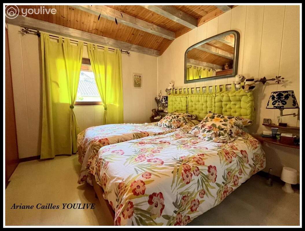 MONNETIER Chalet de 180m2 terrain 1100m2 - photo 5
