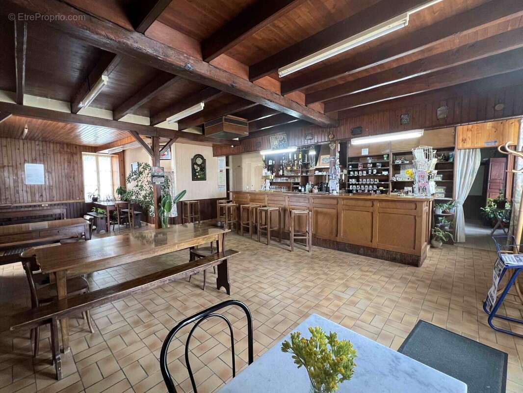 Maison 228 m² à Roumazieres-Loubert  - photo 4
