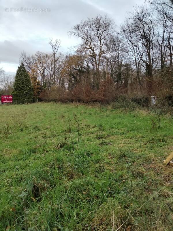 Terrain à VAUCOURTOIS