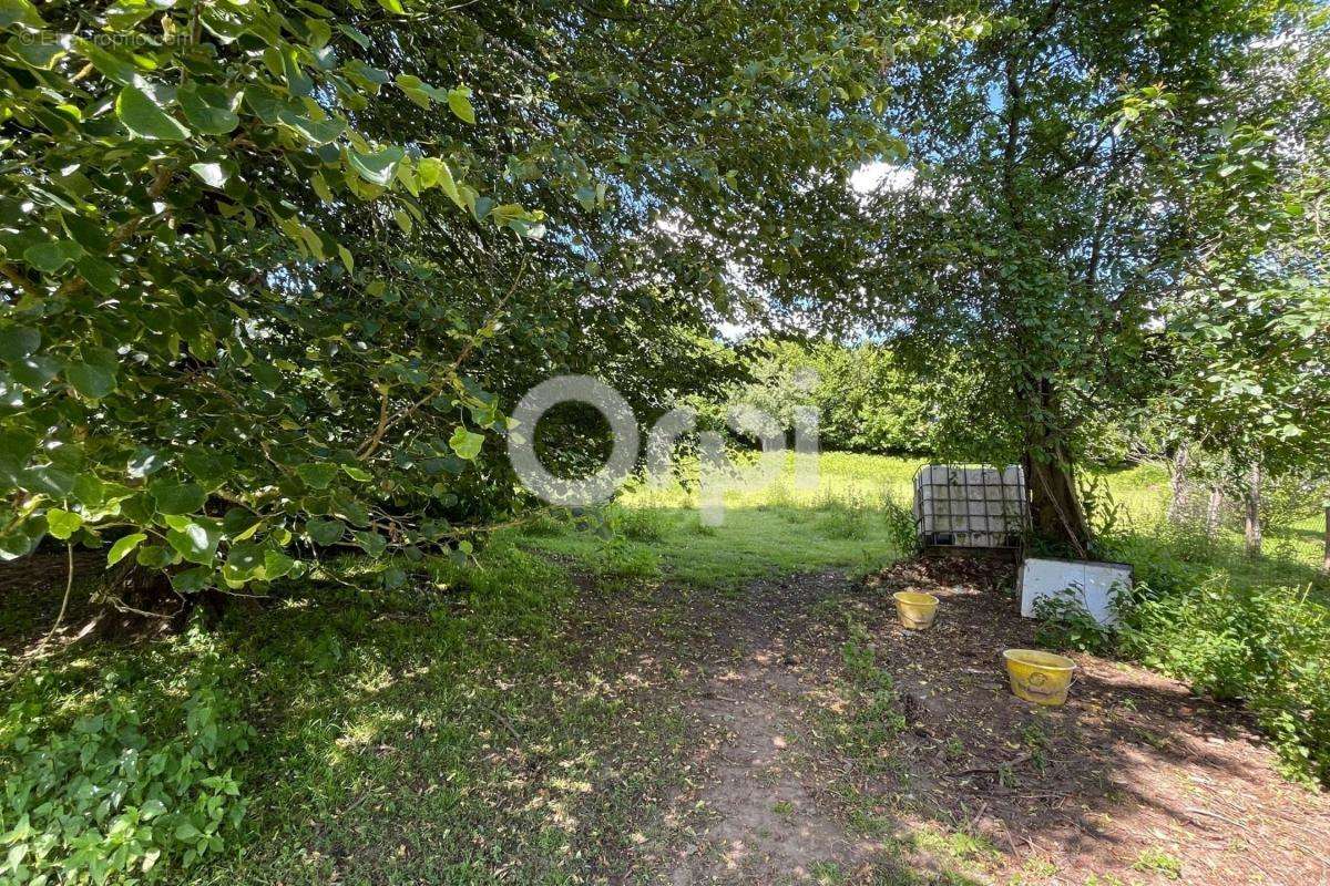 Maison à SAINT-MARTIN-TERRESSUS